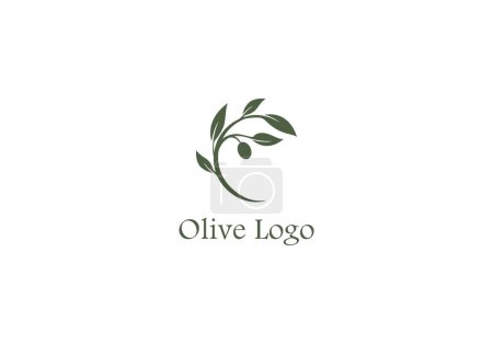 Téléchargez les illustrations : Logo Olive Branch avec feuilles, élégant moderne et minimaliste, couleur modifiable - en licence libre de droit