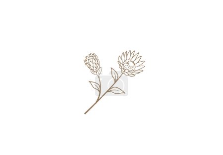 Téléchargez les illustrations : Logo protea fleur, Féminisme, Minimaliste, Moderne, Logo Line, couleur modifiable - en licence libre de droit