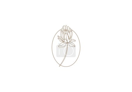 Illustration for Logo protea flower,Feminism, Minimalist, Modern, Logo Line, editable color - Royalty Free Image