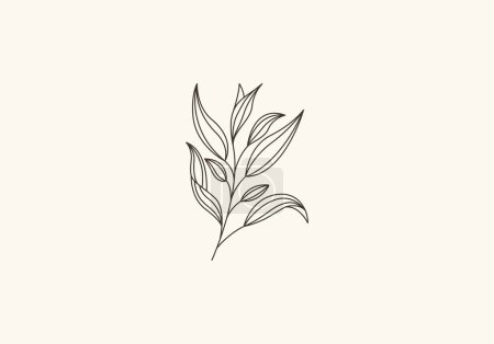 Ilustración de Logo Botanical Leaf and Vines Line Minimalista, Floral Logo Moderno y Simple. Archivo editable - Imagen libre de derechos