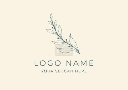 Illustration for Logo Branch and Leaf line art. Botanical, minimalist, classic, handrawn logo design. Editable color - Royalty Free Image
