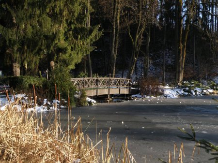 Foto de Winter mood in the Slovak spas of Rajeck Teplice. Frozen lake, bridge. - Imagen libre de derechos