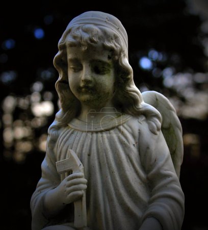 Photo for A statue of an angel in a cemetery. - Royalty Free Image