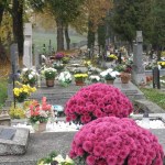 A Christian cemetery decorated for All Saints' Day. It is a foggy November day.
