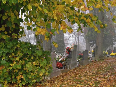 Photo for Autumn day at the cemetery, Slovakia, Europe. - Royalty Free Image