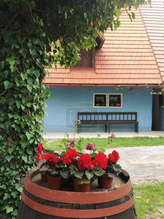 Téléchargez les photos : Sebechleby, Slovaquie, 22 mai 23023 : Maisons de vignes historiques traditionnelles, zone de conservation Star Hora. - en image libre de droit