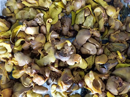 Téléchargez les photos : Closeup picture Bunch of chicken liver on the traditional market . - en image libre de droit