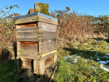 Téléchargez les photos : Oxalic Acid treatment in a beehive. Seasonal Beekeeping treatment against the varroa mite. - en image libre de droit