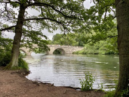 Photo for Worksop, Nottinghamshire, UK. July 3, 2020. Clumber lake with stone bridge over. - Royalty Free Image