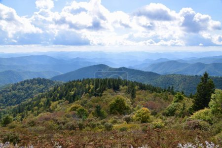 Téléchargez les photos : Vue panoramique sur The Great Smoky Mountains, États-Unis. Collines aux arbres, ciel nuageux bleu. - en image libre de droit