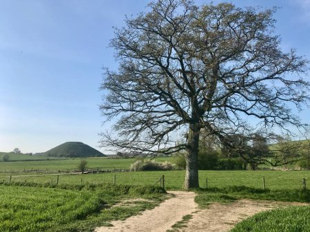 Photo for A tree beside Silbury Hill at the end of a footpath close to Avebury, Wiltshire, UK. - Royalty Free Image
