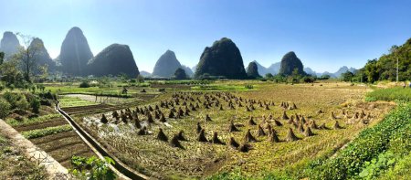 Foto de Yangshuo, Guilin, China. 13 de octubre de 2018. Granja campos de arroz con montañas Karst detrás. - Imagen libre de derechos