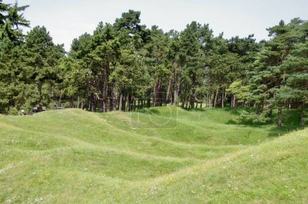 Photo for Shell scarred landscape at Vimy Ridge Battlefield. Vimy, France, August 19, 2012. - Royalty Free Image