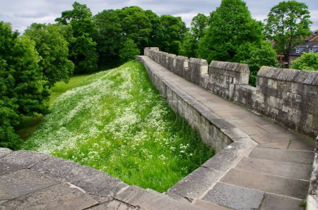 Photo for York City Walls looking down on grass bank and trees. York, UK, June 4, 2012. - Royalty Free Image