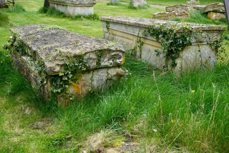 Foto de Old Ivy cubrió tumbas en St Peter y St Paul Churchyard, una iglesia del siglo 12. Belton, Grantham, Inglaterra. 13 de abril de 2024. - Imagen libre de derechos