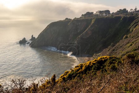 Photo for Hiking trail on Howth Island, Dublin, Ireland. Above the sea there is fog below a blue sky. High, steep cliffs. The golden rays of the sun illuminate the scene. Soft light. Yellow shrubs dot the - Royalty Free Image