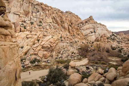 Photo for Joshua Tree National park, California, USA. Partly cloudy skies, dry shrubs and rounded rocks and boulders in the desert. High quality photo - Royalty Free Image