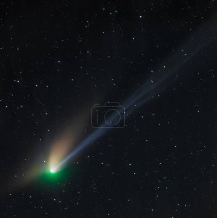 Foto de Comet C 2022 E3. Bright green nucleus and faint Comets ion tail. Imaged on januari 19th 2023. Background stars visible. High quality photo - Imagen libre de derechos