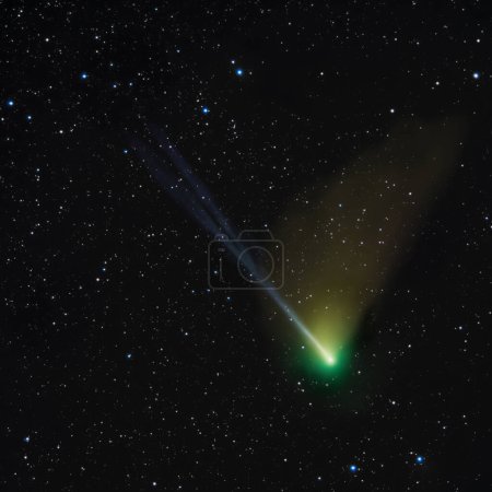 Comète C 2022 E3. Noyau vert vif et faible queue d'ion de comètes. Imaginé le 7 février 2023. Fond étoiles visibles. Photo de haute qualité