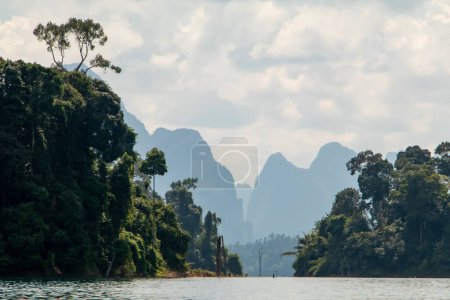 Photo for Limestone Cliffs covered in green forest in Khao Sok National Park, Thailand. blue lake and long tail boat, blue sky. High quality photo - Royalty Free Image