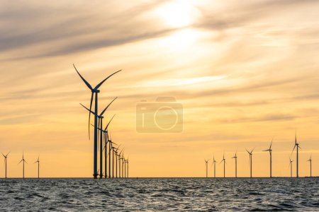 Parque eólico en alta mar con muchas filas curvas de molinos de viento altos, IJsselmeer, los Países Bajos. Cielo de noche naranja con nubes malhumoradas.
