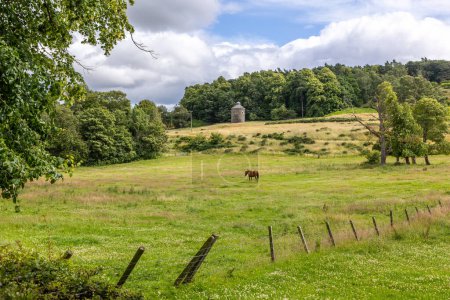 Grazing brown horse on a green grass meadow fringing on woodland forest in front of ancient, old tower, turret made from basalt stones in Scotland, Europe. High quality photo