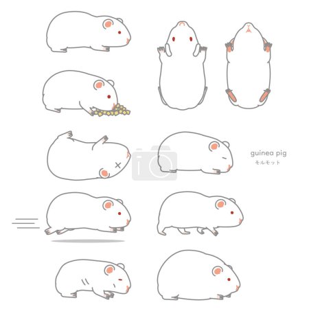 Illustration for Guinea pig vector illustration set (eating, tilting, fussing, lying down, walking, running, gaining weight, losing weight) - Royalty Free Image