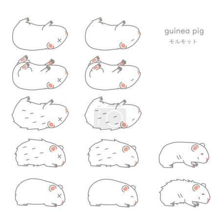 Ilustración de Conjunto de ilustración vectorial de conejillo de indias enfermo (mascota, para experimento) - Imagen libre de derechos
