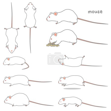 Illustration for Vector illustration set of meal, tilt, fat, prone, running, fat, thin mouse - Royalty Free Image
