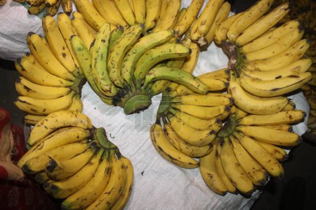Foto de Fruta de plátano en una cesta - Imagen libre de derechos