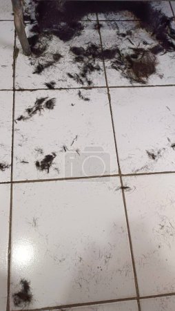 Téléchargez les photos : Plancher avec des coupures de cheveux noirs dans un salon de coiffure - en image libre de droit