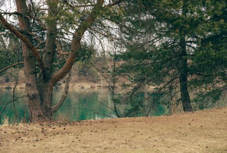 Téléchargez les photos : Beau paysage naturel printanier avec une rivière et une forêt, le début du printemps, près de la ville, temps nuageux, humeur coûteuse, photo de la réserve - en image libre de droit