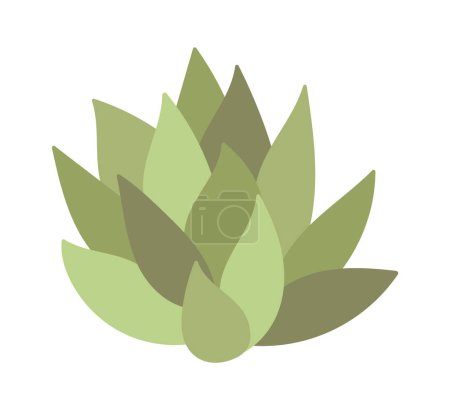 Illustration for Succulent for terrarium flat icon Houseplant decor element. Vector illustration - Royalty Free Image