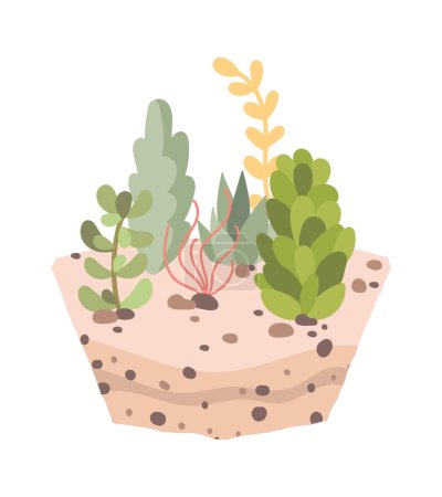 Different evergreen plants in soil flat icon Houseplant. Vector illustration