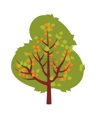 Ilustración de Árbol frutal de albaricoque verde icono plano Jardín. Ilustración vectorial - Imagen libre de derechos