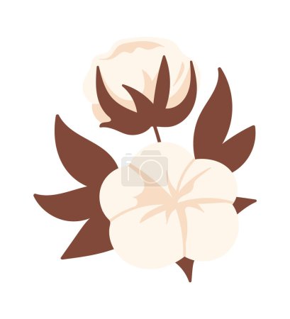 Cotton Flowers Stem Vector Illustration