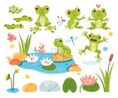 Cartoon cute frog amphibian mascot with different emotion, jumping and sitting, funny tadpole swimming, frogspawn, dragonfly insect, water lilies and beautiful pond isolated vector illustration set