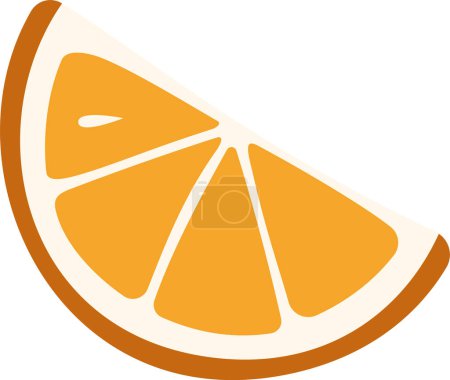 Orange Fruit Slice Vector Illustration