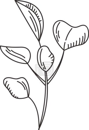 Radish Micro Greens Sketch Vector Illustration