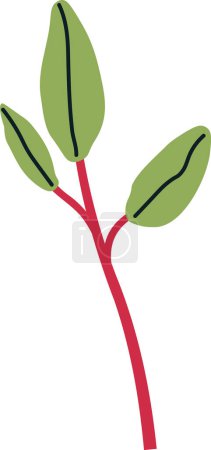 Magenta Spreen Sprout Vector Illustration