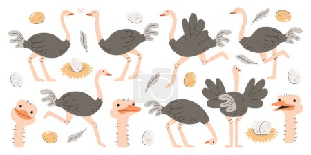 Illustration for Cute ostrich farm african flightless exotic birds cartoon characters in different pose running, jumping, hiding head in sand and showing various face emotion isolated set on white background - Royalty Free Image