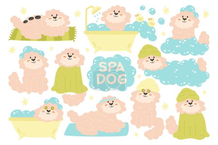 Dog cute characters in different pose enjoying professional grooming service, doing hygiene activity and beauty spa procedure set. Adorable fluffy puppy pet animal at groomer salon vector illustration