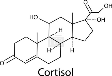 Ilustración de Icono de hormona cortisol sobre fondo blanco. Símbolo hormonal de estrés. signo de fórmula química de cortisol. estilo plano. - Imagen libre de derechos