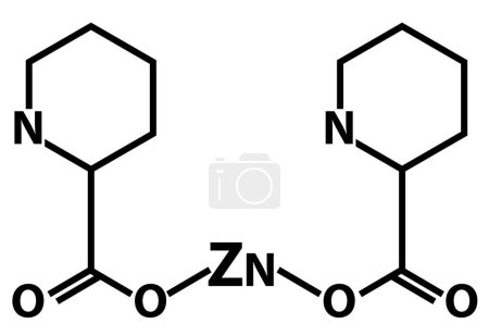 Zinc picolinate molecular chemical formula icon. Zinc infographics sign. Chemical structure of Zinc picolinate (C12H8N2O4Zn) symbol. flat style.
