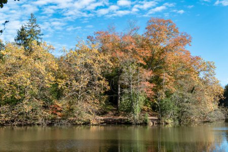 Foto de Lago con un bosque en frente en un día de otoño con los colores característicos de la temporada - Imagen libre de derechos