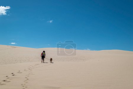 Téléchargez les photos : Femme et son chien marchant sur les dunes par une chaude journée avec un ciel bleu - en image libre de droit