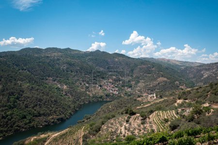 Foto de Entre colinas, montañas y algunos viñedos, el pueblo de Amieiro a orillas del río Tua en el municipio de Alijo, Portugal - Imagen libre de derechos