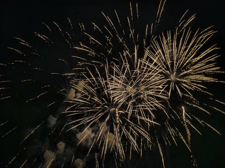 Foto de Fuegos artificiales de colores sobre el cielo nocturno. Celebración de un evento festivo, fondo abstracto de vacaciones - Imagen libre de derechos