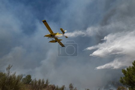 Photo for Airplane in firefighting discharging water over the flames that leave a lot of smoke in the air - Royalty Free Image