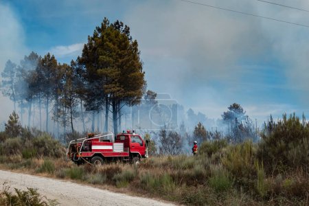 Foto de Bomberos con su camión en la lucha contra un incendio forestal que quema y ya ha quemado parte del bosque dejando una gran nube de humo en el aire - Imagen libre de derechos